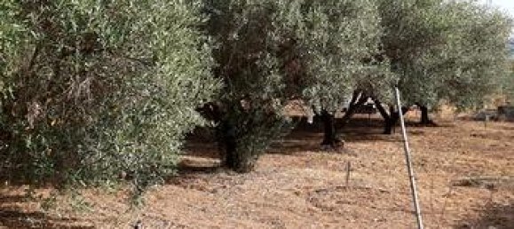 Земельный участок 3634м² в Капотерра, Италия № 281323 3