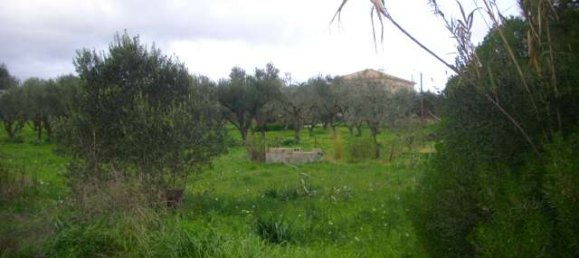 Terra em Zakynthos, Greece N.º 8555 2