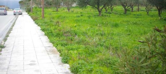  Hotel in Zakynthos, Greece No. 8555 3