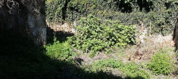 5غرفة شقة في Dragoni, Italy رقم 128989 9