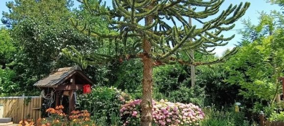 3 Schlafzimmer Haus in Pleurtuit, France, Nr. 318090 3