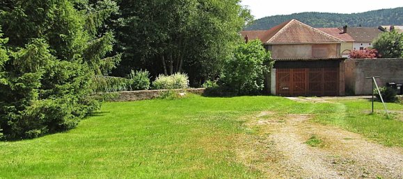 1 غرف نوم شقة في Celles-sur-Plaine, France رقم 103479 8