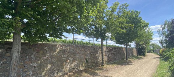 8-salle Maison de ville à Mainz-Bingen, Germany No. 201949 7