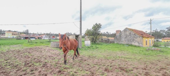 2 bedrooms House in Ferreira a Nova, Portugal No. 186029 24