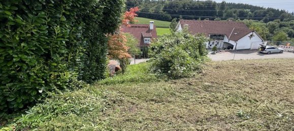  Land in Lorrach, Germany No. 268323 6