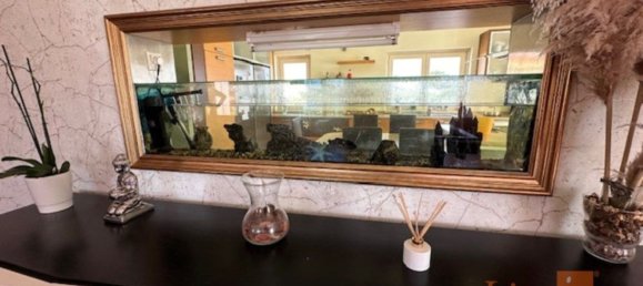 4 bedrooms House in Mafra, Portugal No. 129876 16