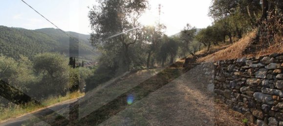 6000m² Land in Buti, Italy No. 21332 5