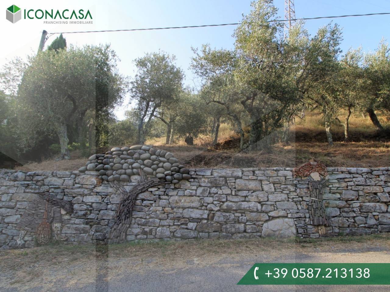 6000m² Land in Buti, Italy No. 21332