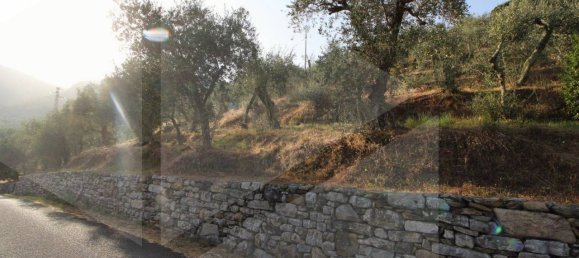 6000m² Land in Buti, Italy No. 21332 9