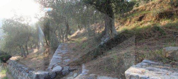 6000m² Land in Buti, Italy No. 21332 12