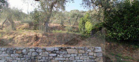 6000m² Land in Buti, Italy No. 21332 8