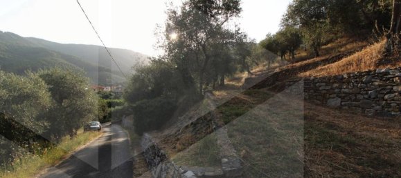 6000m² Land in Buti, Italy No. 21332 18