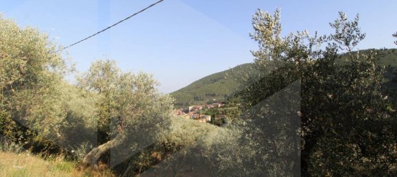 6000m² Land in Buti, Italy No. 21332 10