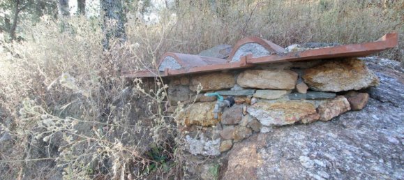 6000m² Land in Buti, Italy No. 21332 16