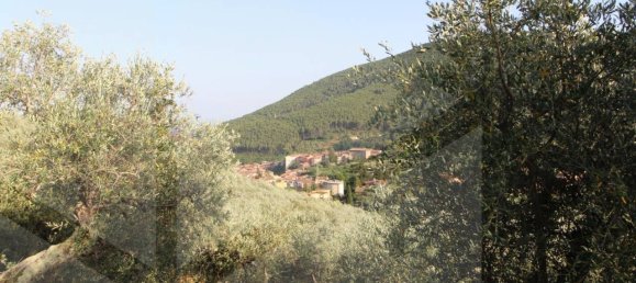 6000m² Land in Buti, Italy No. 21332 11