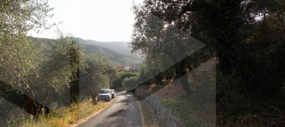 6000m² Land in Buti, Italy No. 21332 4