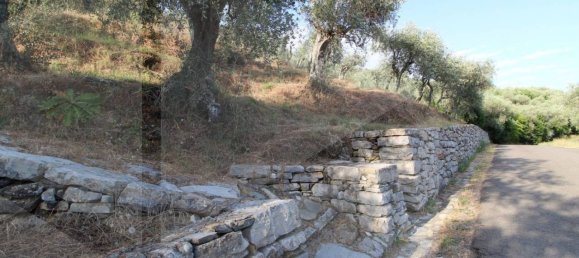 6000m² Land in Buti, Italy No. 21332 7