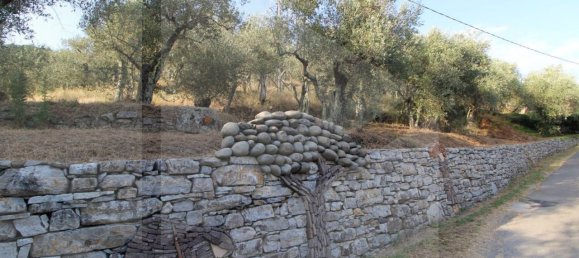 6000m² Land in Buti, Italy No. 21332 3