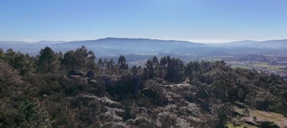 Земельный участок 85900м² в Барселуш, Португалия № 38342 12