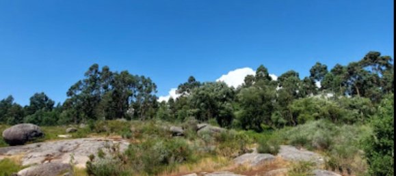 Земельный участок 85900м² в Барселуш, Португалия № 38342 15