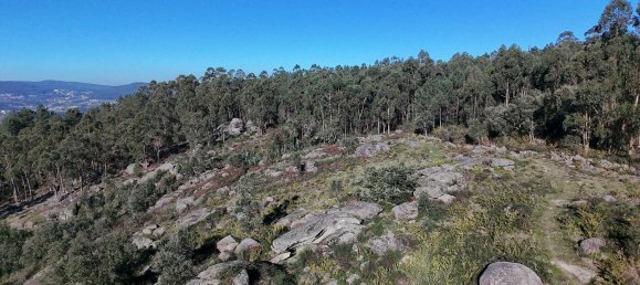 Земельный участок 85900м² в Барселуш, Португалия № 38342 6