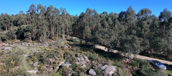 Земельный участок 85900м² в Барселуш, Португалия № 38342 7