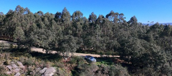 Земельный участок 85900м² в Барселуш, Португалия № 38342 9