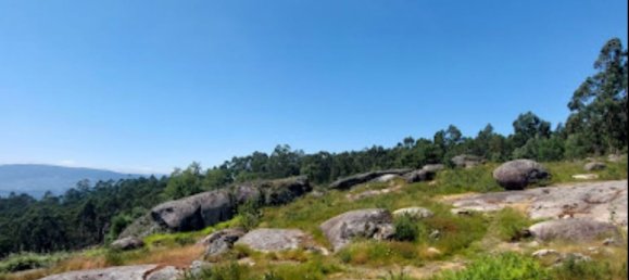 Земельный участок 85900м² в Барселуш, Португалия № 38342 13