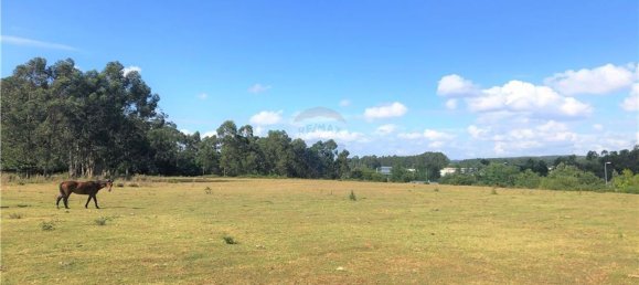 Grundstück in Trofa, Portugal 59195m², Nr. 54258 4