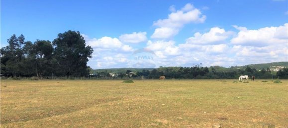 Grundstück in Trofa, Portugal 59195m², Nr. 54258 3