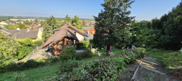 7-Zimmer Haus in Königstetten, Austria, Nr. 253226 19