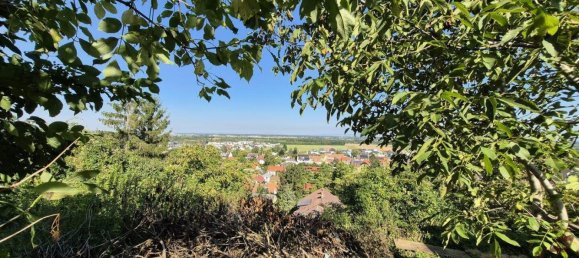 7-Zimmer Haus in Königstetten, Austria, Nr. 253226 8