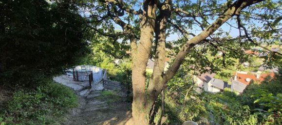 7-Zimmer Haus in Königstetten, Austria, Nr. 253226 20