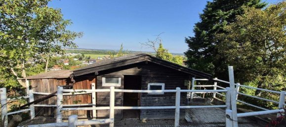 7-Zimmer Haus in Königstetten, Austria, Nr. 253226 7