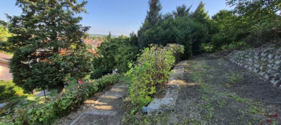 7-Zimmer Haus in Königstetten, Austria, Nr. 253226 11