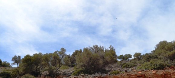3373 m² hotel en venta en Agios Nikolaos, Lasithi, Crete, Greece № 6738 6
