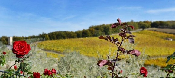 10 rooms House in San Casciano in Val di Pesa, Italy No. 189760 32
