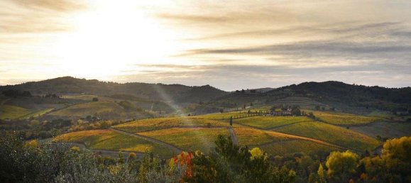 10 rooms House in San Casciano in Val di Pesa, Italy No. 189760 29