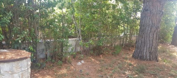 4-Zimmer Villa in Ostuni, Italy, Nr. 302508 21