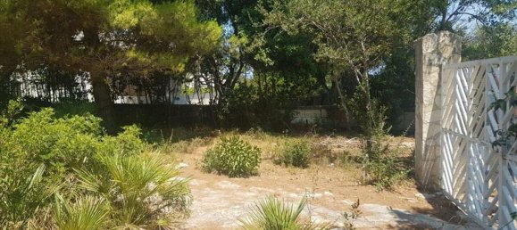 4-Zimmer Villa in Ostuni, Italy, Nr. 302508 30