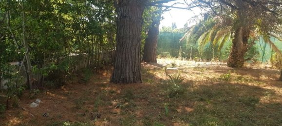 4-Zimmer Villa in Ostuni, Italy, Nr. 302508 22