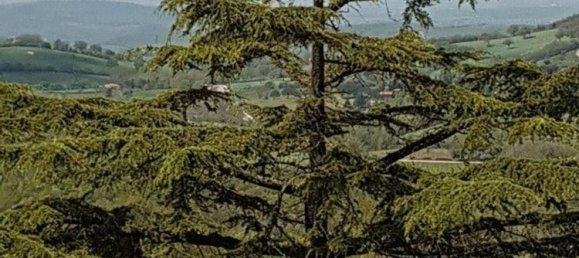 6-Zimmer Haus in Manciano, Italy, Nr. 68201 18