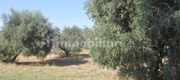 4 bedrooms Villa in Castellina Marittima, Italy No. 103438 13