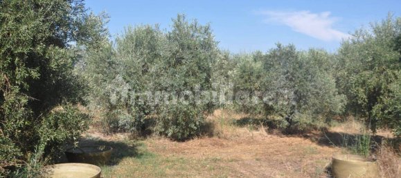 4 bedrooms Villa in Castellina Marittima, Italy No. 103438 11