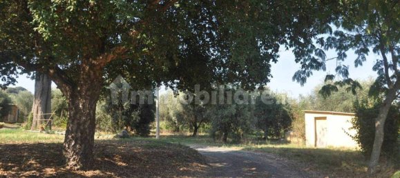4 bedrooms Villa in Castellina Marittima, Italy No. 103438 14