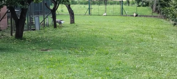 9-salle Maison à Colceresa, Italy No. 265133 9