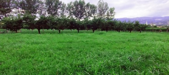 9-salle Maison à Colceresa, Italy No. 265133 14