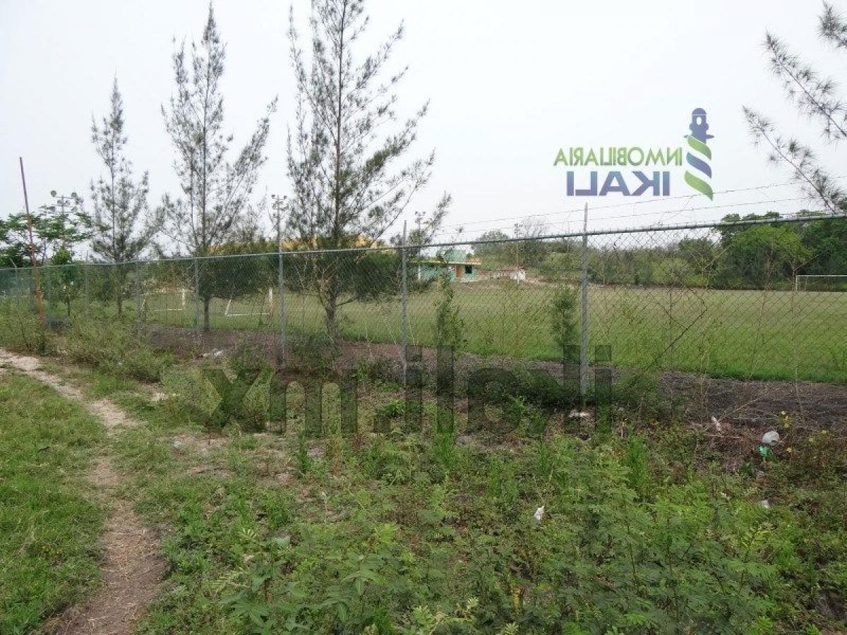 Terreno en Veracruz, Mexico No. 204236