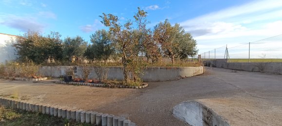 1500m² Land in Villares de la Reina, Spain No. 62439 7