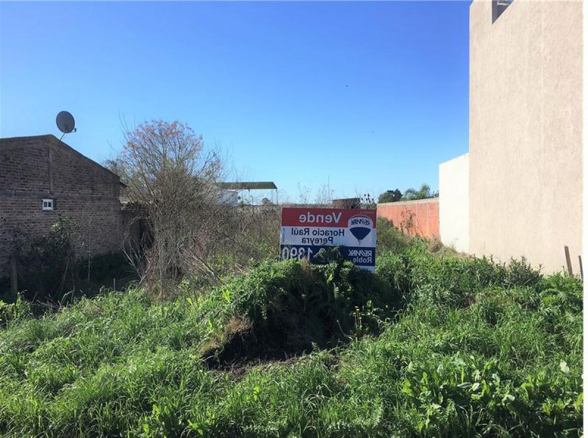 Grundstück in Campo Creado, Argentina, Nr. 114031